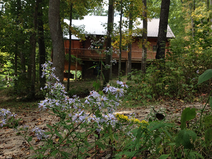 Wildflowers can be seen growing in front of the Woodbury Cabin Rental.